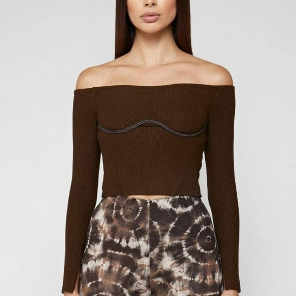 Brown Off-Shoulder Underbust Top